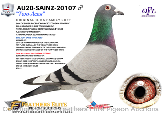 Andre Brasilier、DEUX CHEVAUX、海外版超希少レゾネ Andre Brasilier、DEUX CHEVAUX、海外版超希少レゾネ - メルカリ