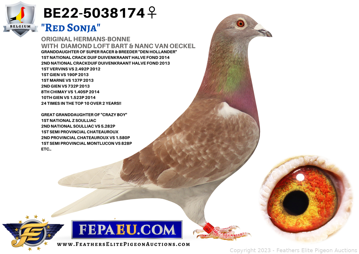 RE・BIRTH Ⅱ THE ROOSTERS Re:Birth II -Ren- 