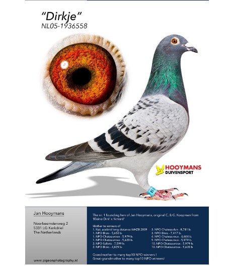 Andre Brasilier、DEUX CHEVAUX、海外版超希少レゾネ Andre Brasilier、DEUX CHEVAUX、海外版超希少レゾネ Andre