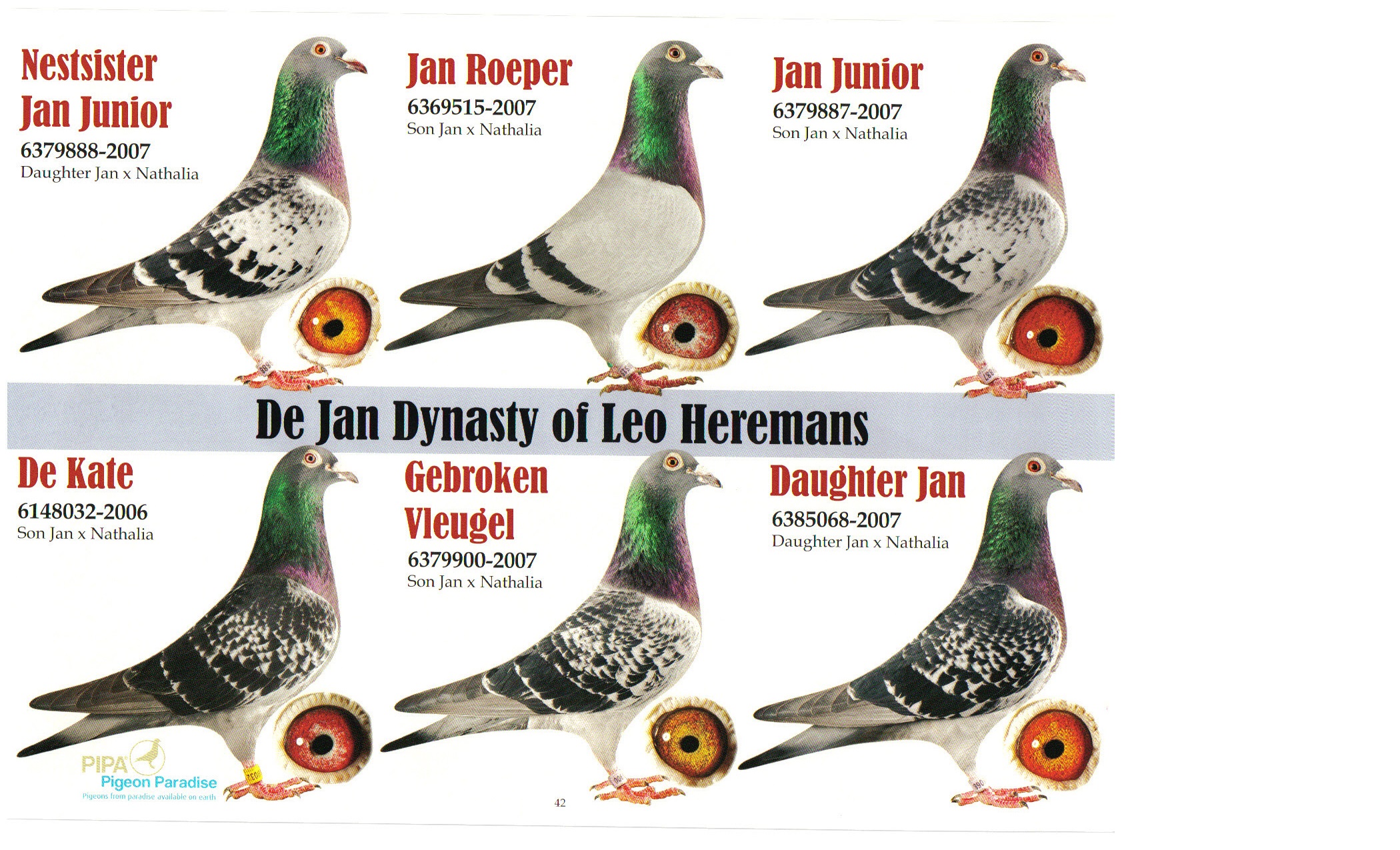 BLUE DE KATE\, image size:2100x1275