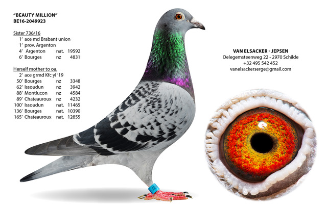 LE GÉANT ET L'OISEAU Eugène Muller フランス